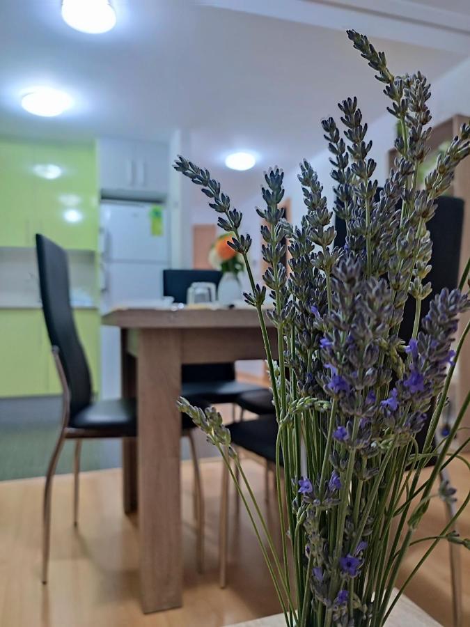 Apartamento Estrella De Teruel Bagian luar foto